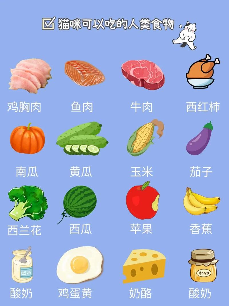 猫咪可以吃黄油吗,猫咪能吃黄油嘛-第5张图片-后鲨宠物 猫咪可以吃黄油吗,猫咪能吃黄油嘛-第5张图片-后鲨宠物