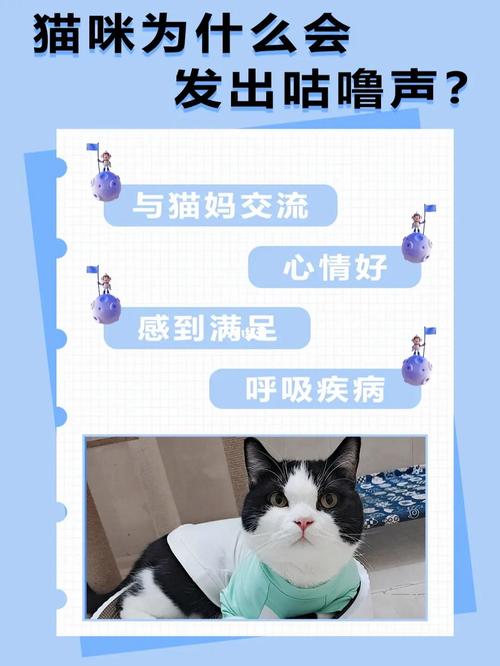 猫咪睡觉有声音，猫咪睡觉有声音吗？-第3张图片-后鲨宠物