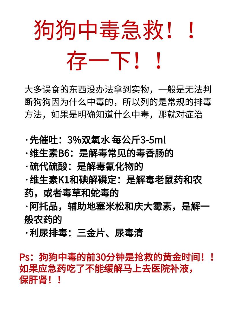  狗狗被蛇咬了怎么办，狗狗被蛇咬了怎么办,消肿止痛酊有没有用