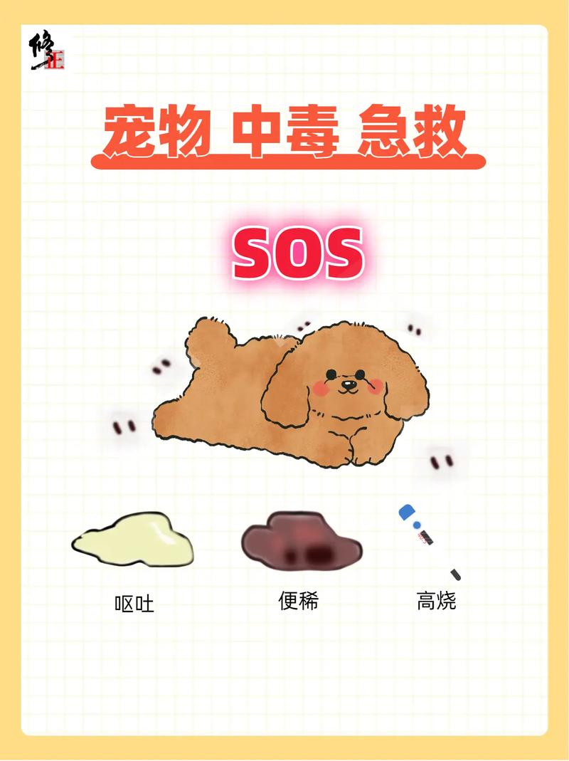 狗狗被蛇咬了怎么办,狗狗被蛇咬了怎么办,消肿止痛酊有没有用-第4张图片-后鲨宠物 狗狗被蛇咬了怎么办,狗狗被蛇咬了怎么办,消肿止痛酊有没有用-第4张图片-后鲨宠物