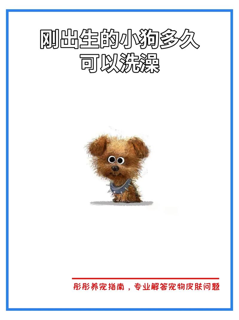 多大的狗狗可以洗澡,小狗40天了能洗澡吗-第5张图片-后鲨宠物 多大的狗狗可以洗澡,小狗40天了能洗澡吗-第5张图片-后鲨宠物