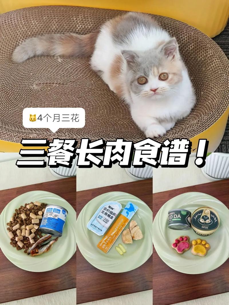 猫咪发腮吃什么，猫咪发腮吃什么食物？
