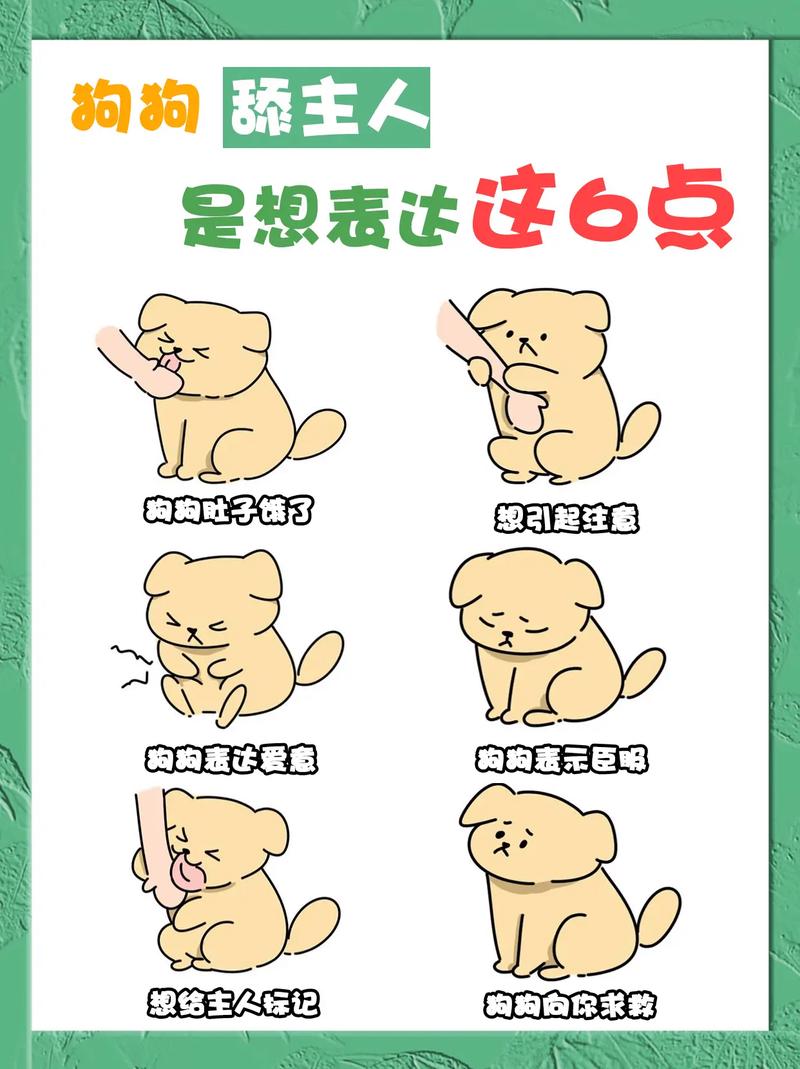 小狗狗为什么喜欢舔人，小狗狗为什么喜欢舔人脸？