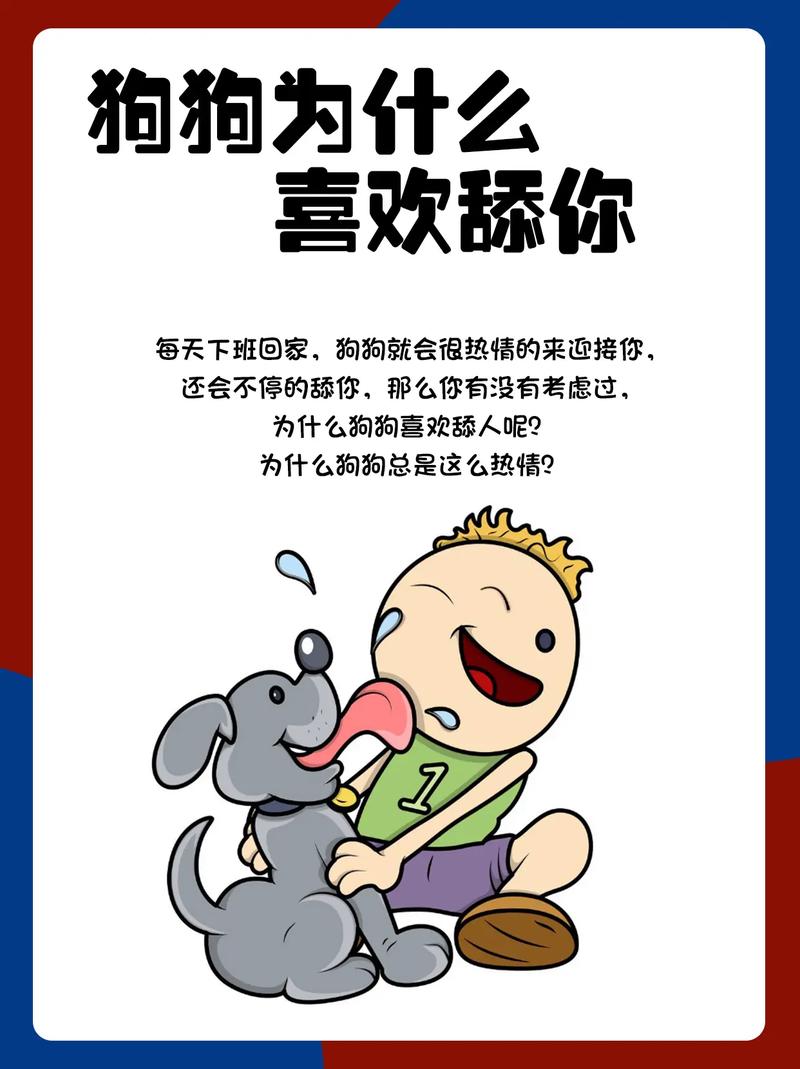 小狗狗为什么喜欢舔人,小狗狗为什么喜欢舔人脸?-第4张图片-后鲨宠物 小狗狗为什么喜欢舔人,小狗狗为什么喜欢舔人脸?-第4张图片-后鲨宠物