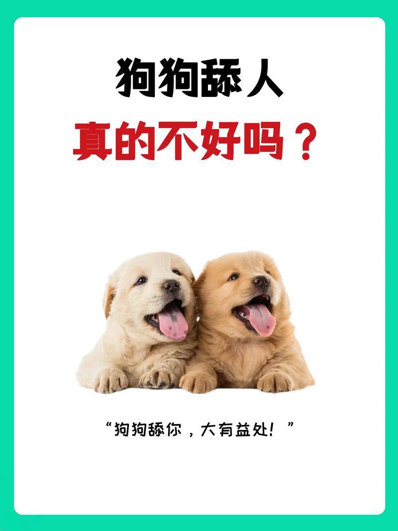 小狗狗为什么喜欢舔人,小狗狗为什么喜欢舔人脸?-第5张图片-后鲨宠物 小狗狗为什么喜欢舔人,小狗狗为什么喜欢舔人脸?-第5张图片-后鲨宠物