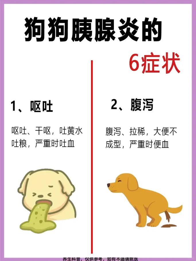 胰腺炎狗狗症状_怎样判断狗狗得了胰腺炎-第5张图片-后鲨宠物 胰腺炎狗狗症状_怎样判断狗狗得了胰腺炎-第5张图片-后鲨宠物