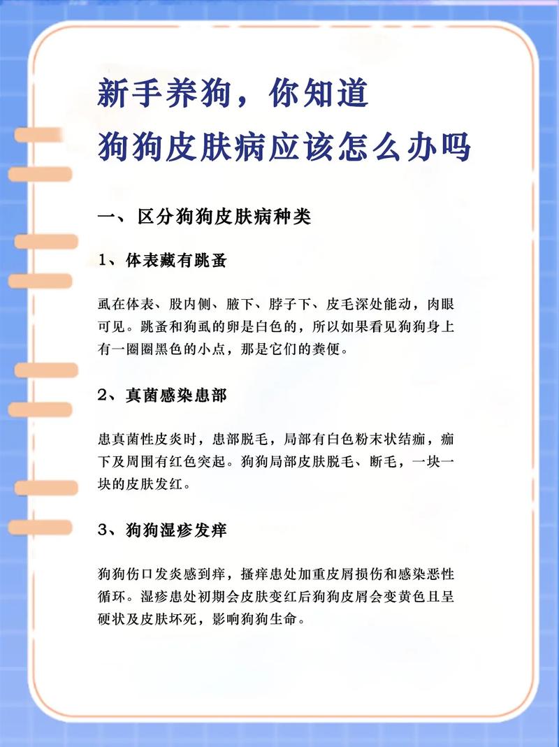 如何预防狗狗皮肤病_预防狗狗皮肤病的药