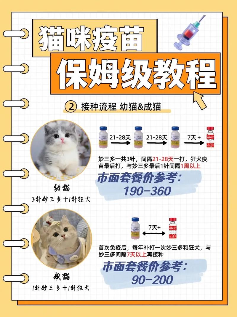 猫猫打狂犬疫苗多少钱,猫打狂犬疫苗要多少钱-第2张图片-后鲨宠物 猫猫打狂犬疫苗多少钱,猫打狂犬疫苗要多少钱-第2张图片-后鲨宠物