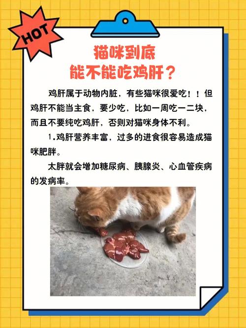  猫咪能吃鸡肝吗，猫可以吃鸡肝么