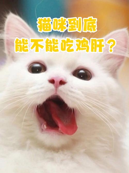 猫咪能吃鸡肝吗,猫可以吃鸡肝么-第4张图片-后鲨宠物 猫咪能吃鸡肝吗,猫可以吃鸡肝么-第4张图片-后鲨宠物