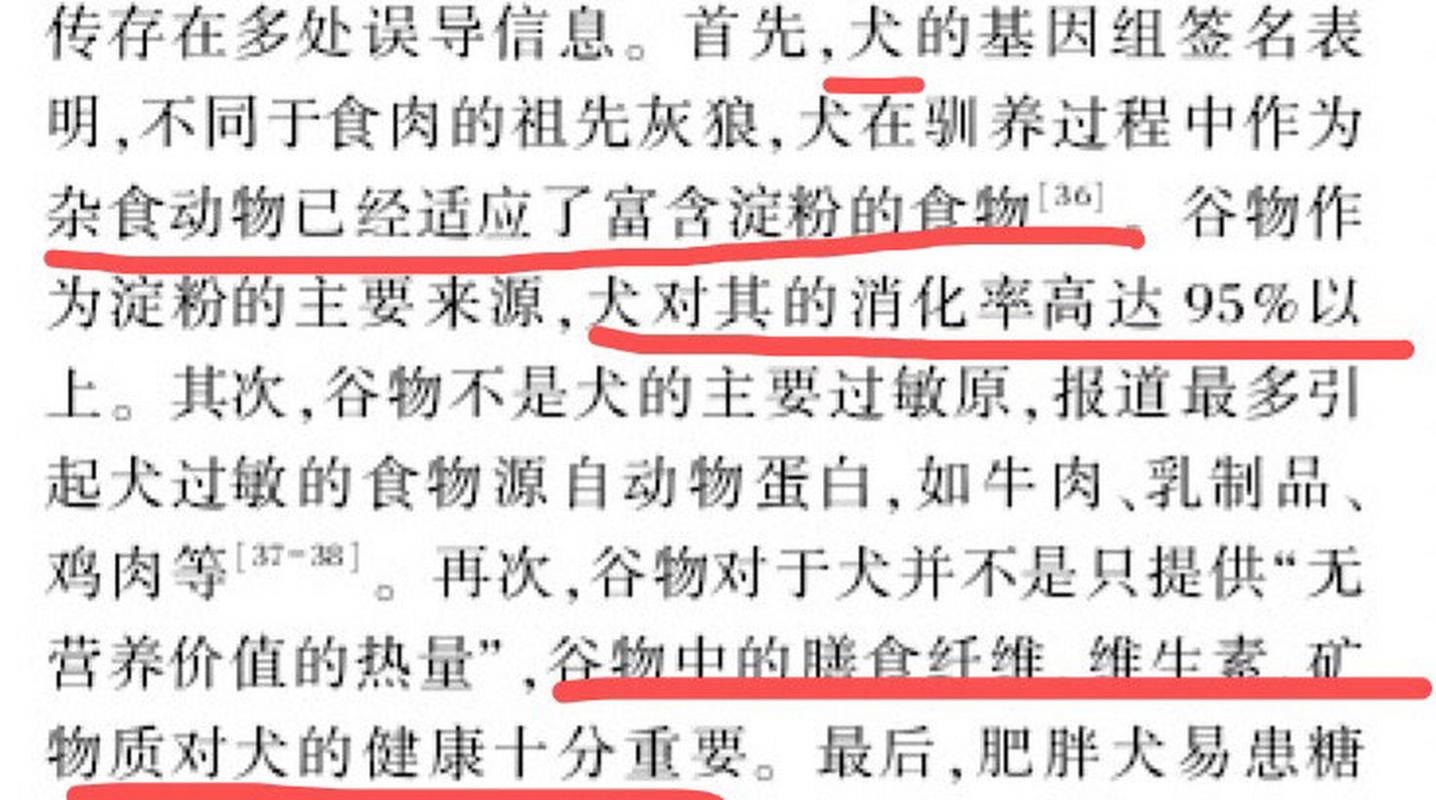 狗狗可以吃淀粉吗,狗能吃淀粉嘛-第4张图片-后鲨宠物 狗狗可以吃淀粉吗,狗能吃淀粉嘛-第4张图片-后鲨宠物