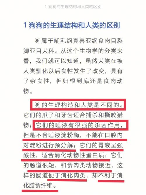 狗狗可以吃淀粉吗,狗能吃淀粉嘛-第5张图片-后鲨宠物 狗狗可以吃淀粉吗,狗能吃淀粉嘛-第5张图片-后鲨宠物