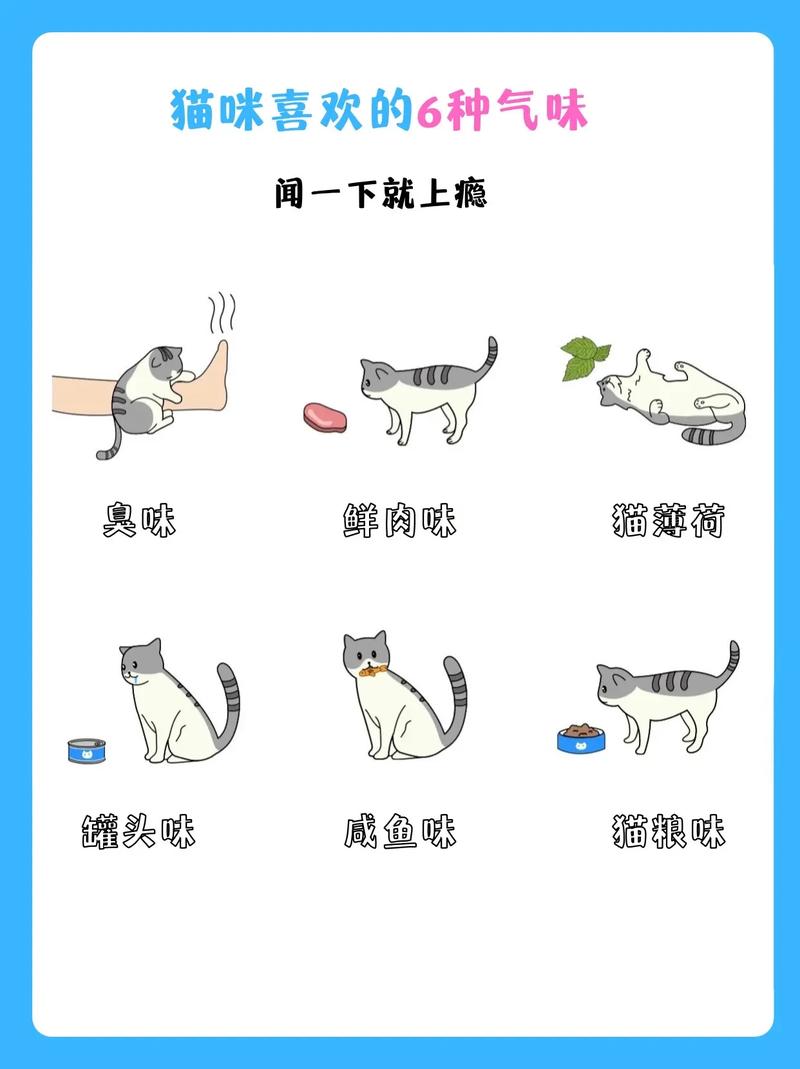 为什么猫咪喜欢猫薄荷_为什么猫喜欢猫薄荷?-第5张图片-后鲨宠物