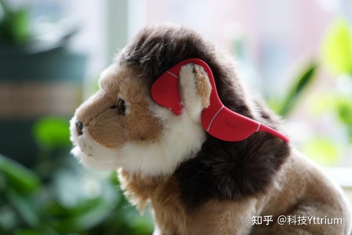  怎么鉴定狗狗听不见，怎样判断狗狗能不能听见-第2张图片-后鲨宠物