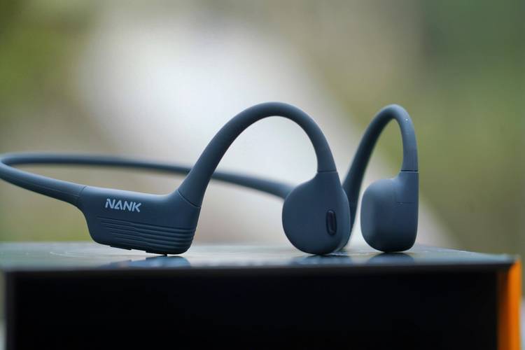  怎么鉴定狗狗听不见，怎样判断狗狗能不能听见-第4张图片-后鲨宠物