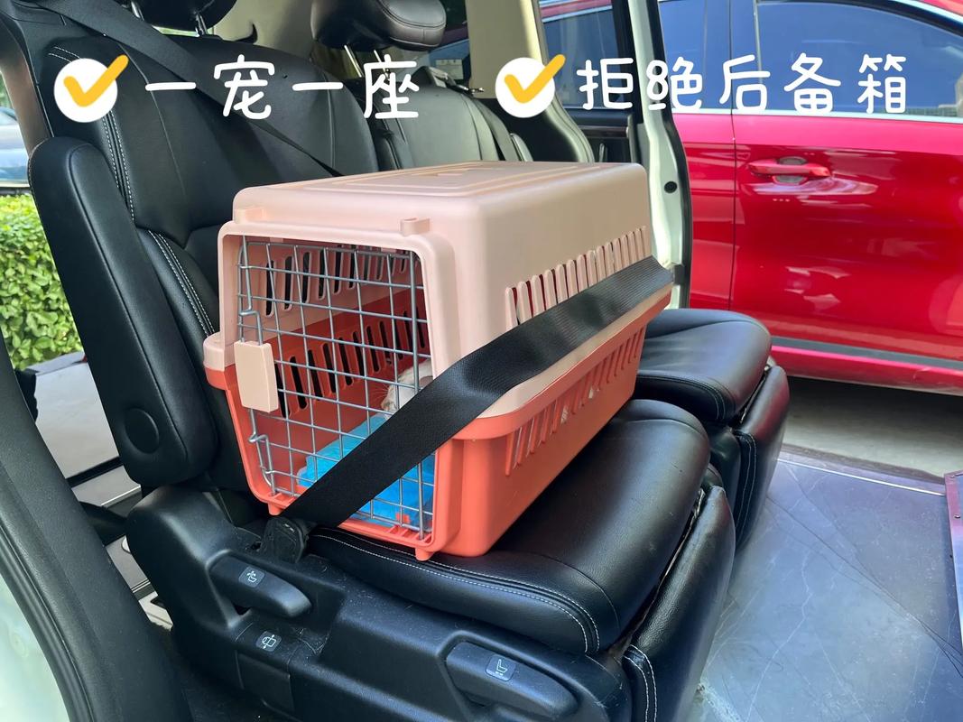 狗狗可以上出租车吗,狗狗可以上出租车吗现在?-第5张图片-后鲨宠物 狗狗可以上出租车吗,狗狗可以上出租车吗现在?-第5张图片-后鲨宠物