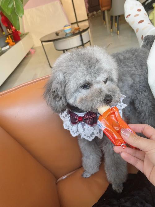 狗狗多大停止长个子,狗狗多大就不长个了-第3张图片-后鲨宠物 狗狗多大停止长个子,狗狗多大就不长个了-第3张图片-后鲨宠物