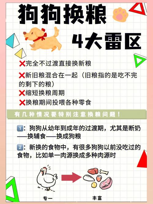 狗狗换粮拉稀要停食吗_狗狗因为换狗粮导致的拉稀可以吃什么-第5张图片-后鲨宠物 狗狗换粮拉稀要停食吗_狗狗因为换狗粮导致的拉稀可以吃什么-第5张图片-后鲨宠物