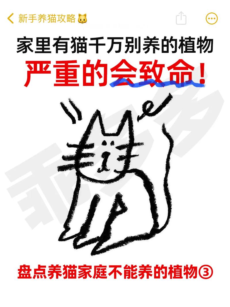 对猫咪有害的植物_对猫咪有害的植物种类-第2张图片-后鲨宠物 对猫咪有害的植物_对猫咪有害的植物种类-第2张图片-后鲨宠物