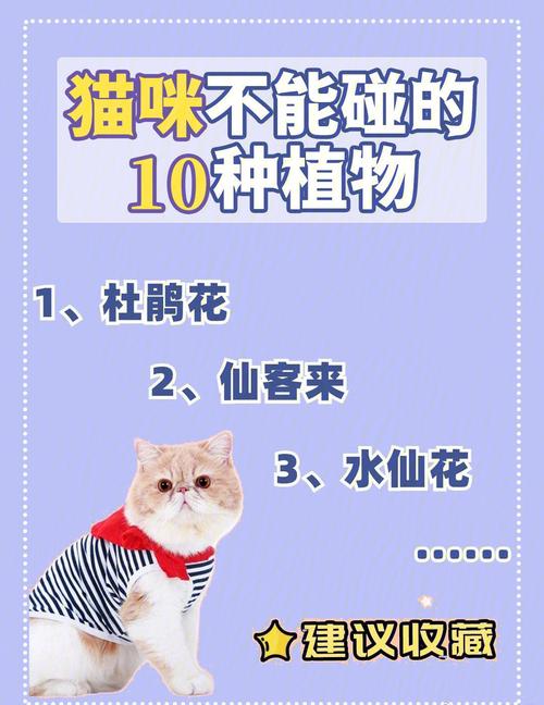 对猫咪有害的植物_对猫咪有害的植物种类-第3张图片-后鲨宠物 对猫咪有害的植物_对猫咪有害的植物种类-第3张图片-后鲨宠物