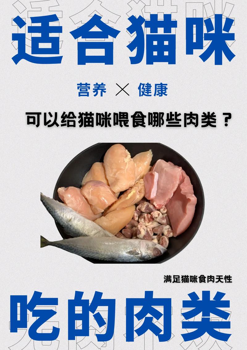 猫咪能吃什么肉,猫咪能吃什么肉和蔬菜?-第6张图片-后鲨宠物 猫咪能吃什么肉,猫咪能吃什么肉和蔬菜?-第6张图片-后鲨宠物