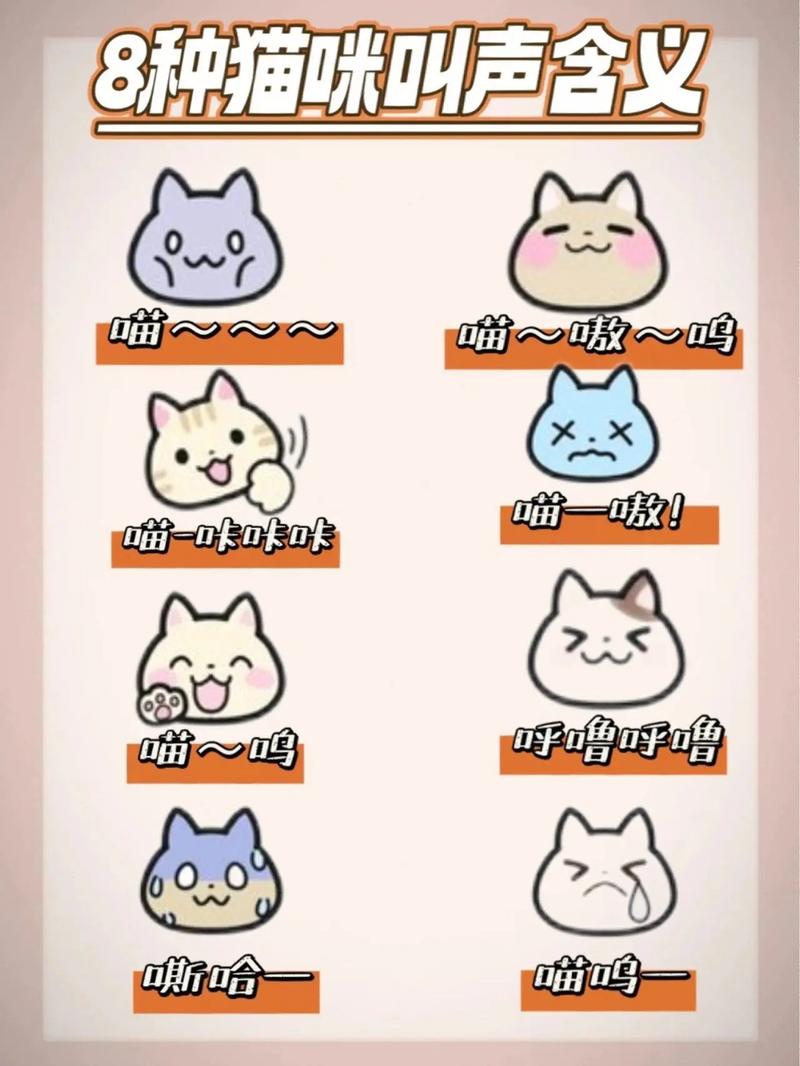 猫猫为什么一直叫,猫猫为什么一直叫的特别大声?-第2张图片-后鲨宠物 猫猫为什么一直叫,猫猫为什么一直叫的特别大声?-第2张图片-后鲨宠物