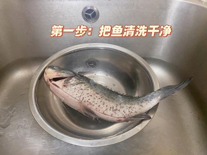 狗狗喝鱼汤有什么好处_狗狗喝鱼汤有什么好处吗-第2张图片-后鲨宠物 狗狗喝鱼汤有什么好处_狗狗喝鱼汤有什么好处吗-第2张图片-后鲨宠物