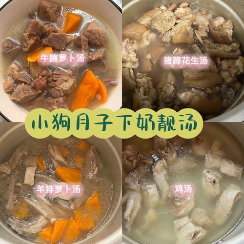 狗狗喝鱼汤有什么好处_狗狗喝鱼汤有什么好处吗-第4张图片-后鲨宠物 狗狗喝鱼汤有什么好处_狗狗喝鱼汤有什么好处吗-第4张图片-后鲨宠物