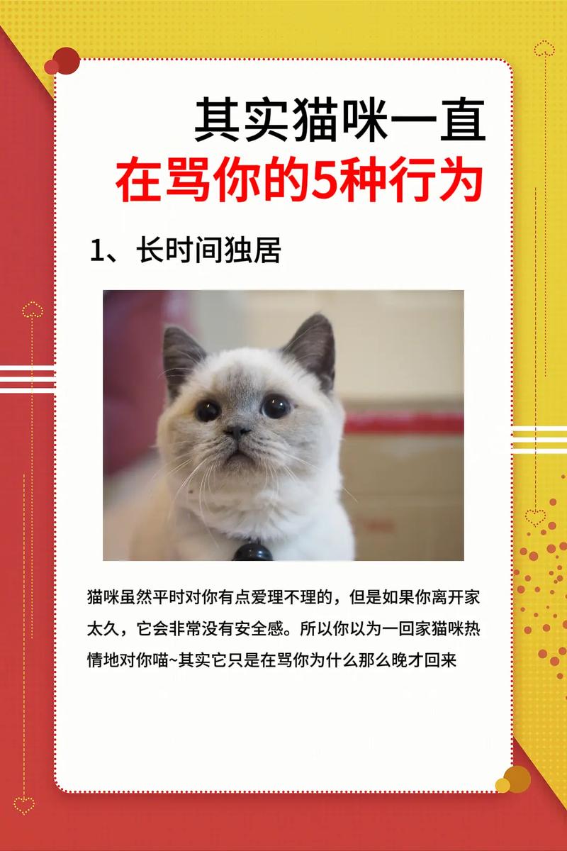 猫咪知道自己被骂吗,猫咪知道自己被宠爱吗-第5张图片-后鲨宠物 猫咪知道自己被骂吗,猫咪知道自己被宠爱吗-第5张图片-后鲨宠物