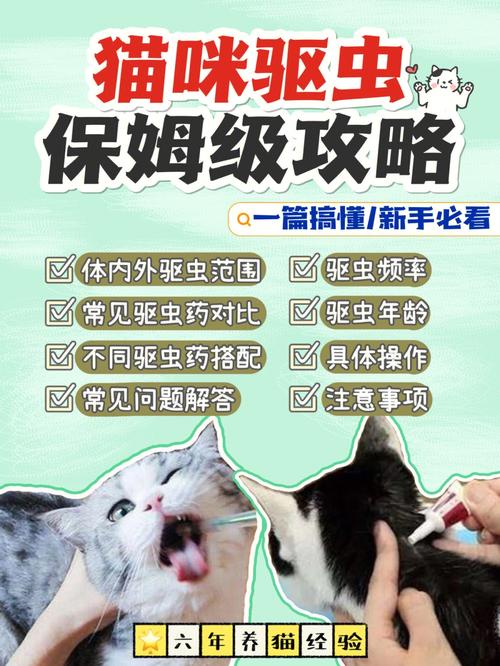  猫咪怀孕能驱虫吗，猫咪怀孕了可以驱虫吗?-第2张图片-后鲨宠物