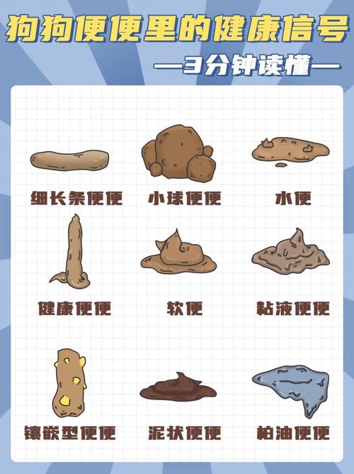 狗狗吃了不拉屎怎么回事_狗狗吃了不拉屎怎么办