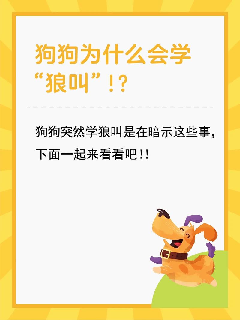 狗狗狼叫是怎么回事,狗狗狼叫是什么原因-第4张图片-后鲨宠物 狗狗狼叫是怎么回事,狗狗狼叫是什么原因-第4张图片-后鲨宠物