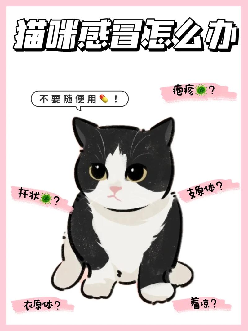 猫咪感冒了咋办_猫咪感冒了怎么处理