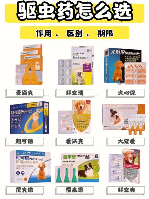  狗狗可以吃人的驱虫药吗，狗可以吃人用驱虫药吗