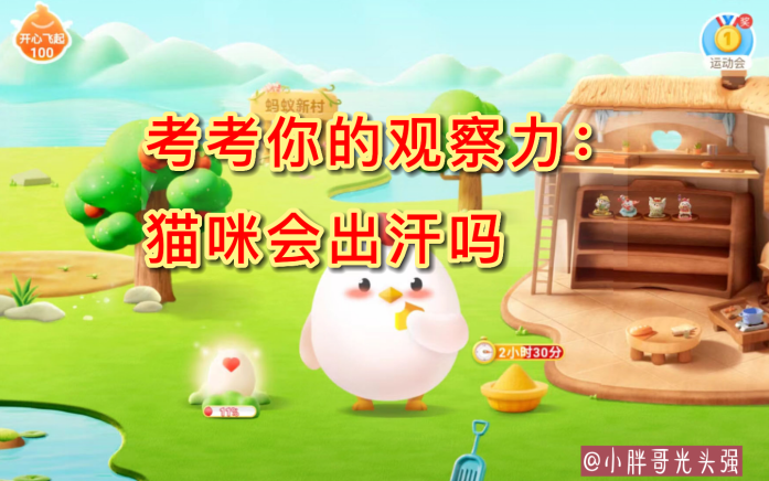 猫咪的汗腺在哪里_猫汗腺发达吗-第3张图片-后鲨宠物 猫咪的汗腺在哪里_猫汗腺发达吗-第3张图片-后鲨宠物