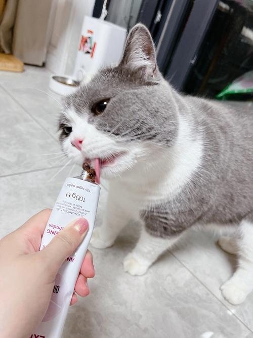 猫咪一定要吃化毛膏吗_猫咪必须要吃化毛膏吗-第4张图片-后鲨宠物