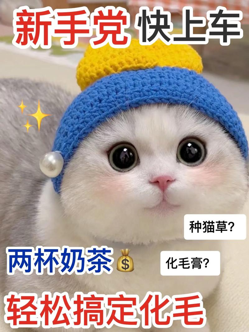 猫咪一定要吃化毛膏吗_猫咪必须要吃化毛膏吗-第6张图片-后鲨宠物