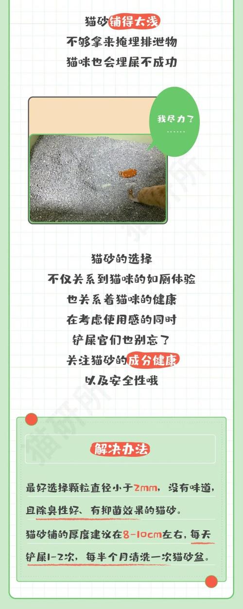 猫咪拉完屎不埋怎么办_猫咪拉完屎不埋了怎么办-第2张图片-后鲨宠物