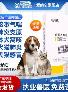 关于狗狗上呼吸道感染吃什么药的信息-第3张图片-后鲨宠物