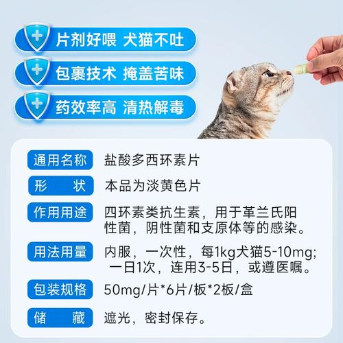 猫猫感冒了吃什么药,猫猫感冒吃什么药效果好?-第2张图片-后鲨宠物 猫猫感冒了吃什么药,猫猫感冒吃什么药效果好?-第2张图片-后鲨宠物
