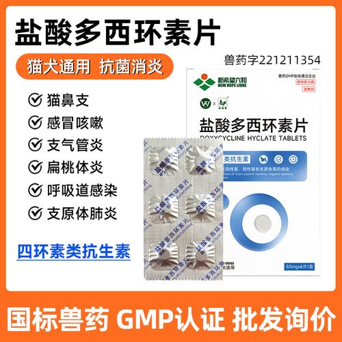 猫猫感冒了吃什么药,猫猫感冒吃什么药效果好?-第4张图片-后鲨宠物 猫猫感冒了吃什么药,猫猫感冒吃什么药效果好?-第4张图片-后鲨宠物