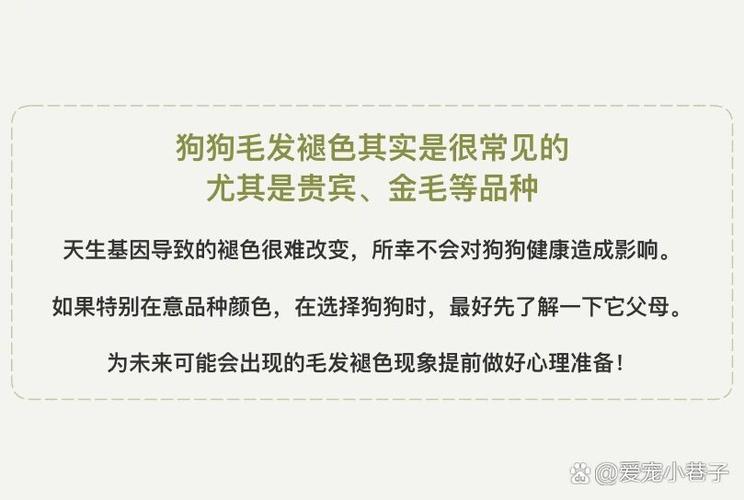 狗狗晒太阳多久合适,狗狗晒太阳能晒多久?-第4张图片-后鲨宠物 狗狗晒太阳多久合适,狗狗晒太阳能晒多久?-第4张图片-后鲨宠物