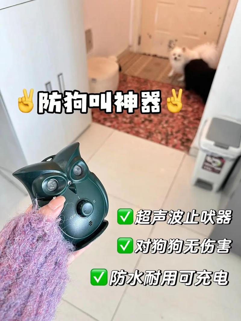 怎么让狗狗不叫_怎么让狗狗不叫唤-第2张图片-后鲨宠物