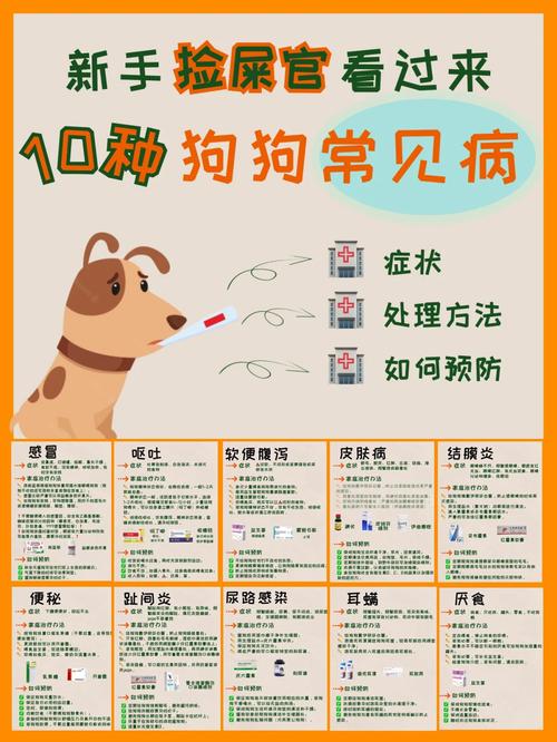 狗狗打喷嚏能打疫苗吗_狗狗打喷嚏能打疫苗吗视频-第2张图片-后鲨宠物 狗狗打喷嚏能打疫苗吗_狗狗打喷嚏能打疫苗吗视频-第2张图片-后鲨宠物