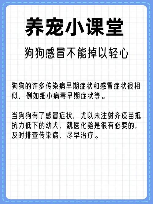 狗狗打喷嚏能打疫苗吗_狗狗打喷嚏能打疫苗吗视频-第5张图片-后鲨宠物 狗狗打喷嚏能打疫苗吗_狗狗打喷嚏能打疫苗吗视频-第5张图片-后鲨宠物