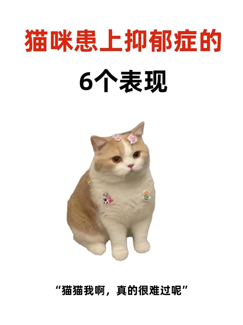 猫咪会得抑郁症吗，猫会不会得抑郁症死掉？-第2张图片-后鲨宠物