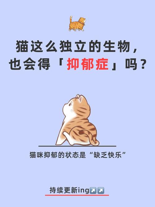 猫咪会得抑郁症吗，猫会不会得抑郁症死掉？-第3张图片-后鲨宠物