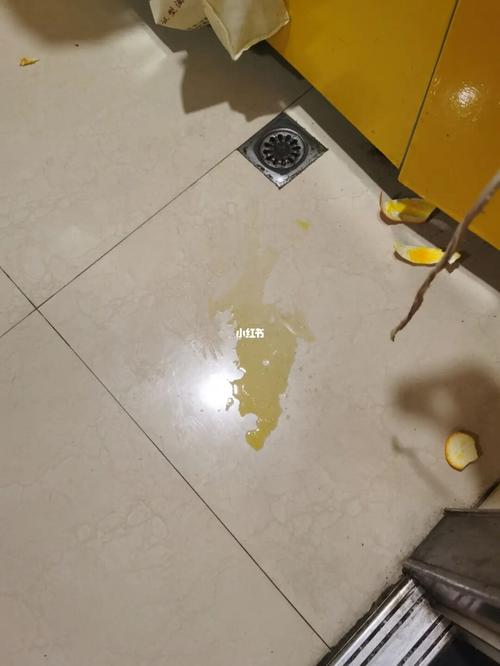 猫咪突然随地大小便,猫咪突然间随地大小便-第6张图片-后鲨宠物 猫咪突然随地大小便,猫咪突然间随地大小便-第6张图片-后鲨宠物