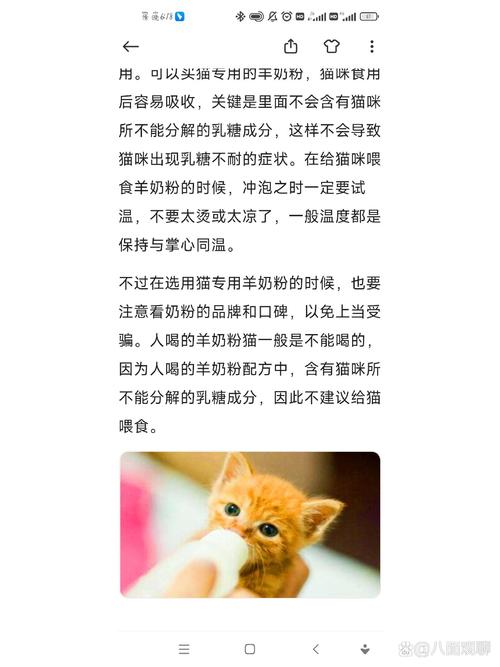 猫咪能喝羊奶吗，猫咪喝羊奶吗好吗？-第4张图片-后鲨宠物