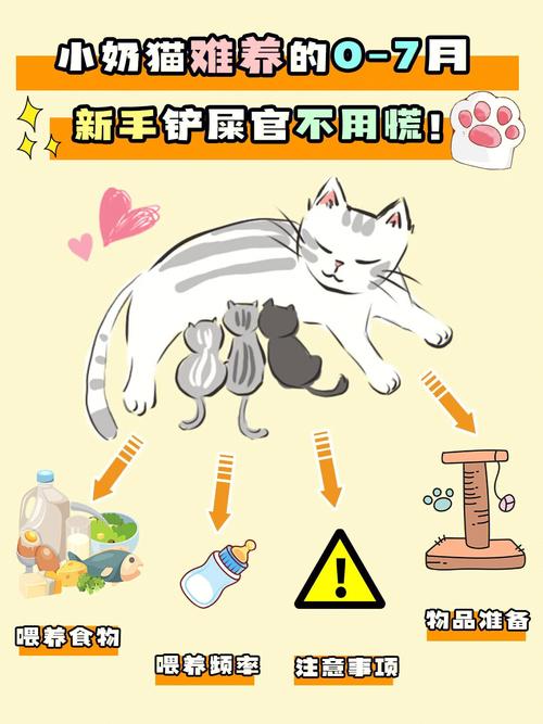 怎么刺激猫咪排便，如何刺激猫咪拉屎？